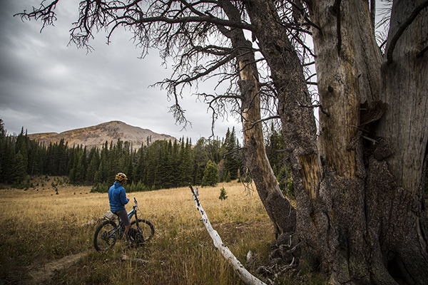 The Lionhead, West Yellowstone, CDT, Mountain Biking