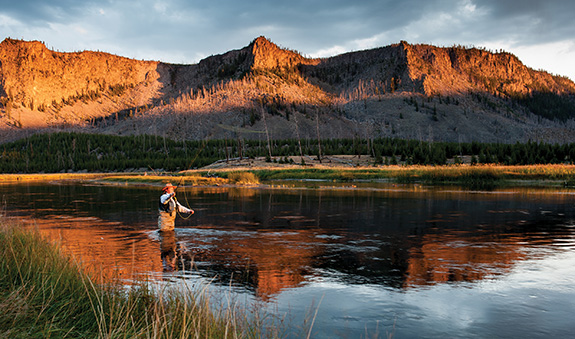 Madison River, West Yellowstone, Fly Fishing