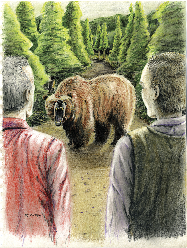 grizzly bear outside bozeman yellowstone