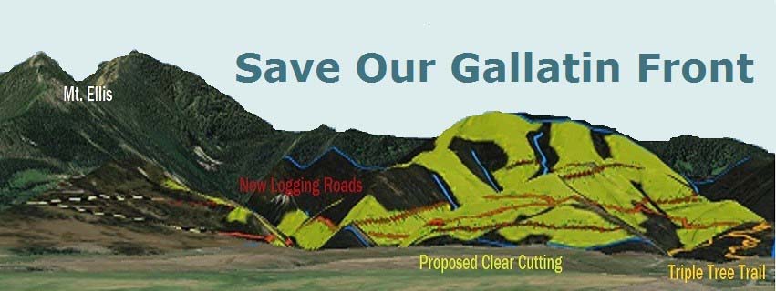 Save Our Gallatin Front