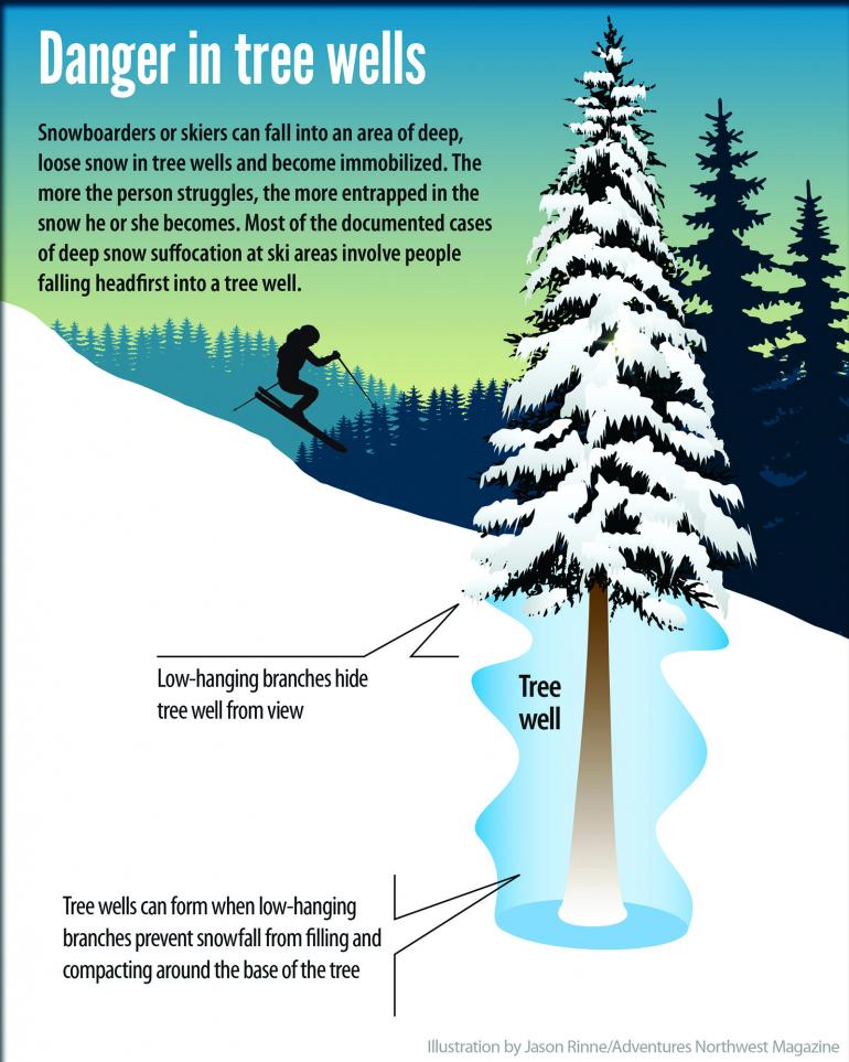 Tree Wells Infographic