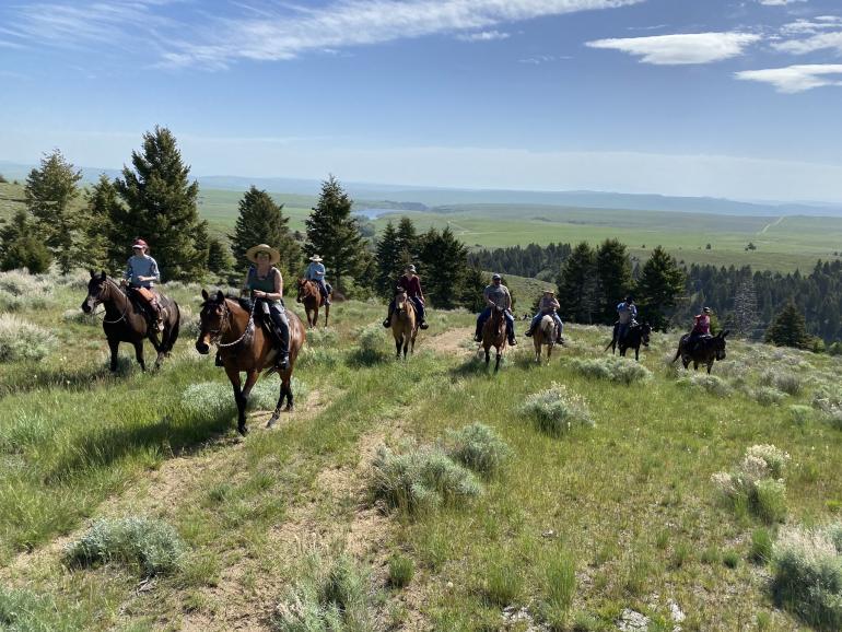poker ride pony montana horse horseback