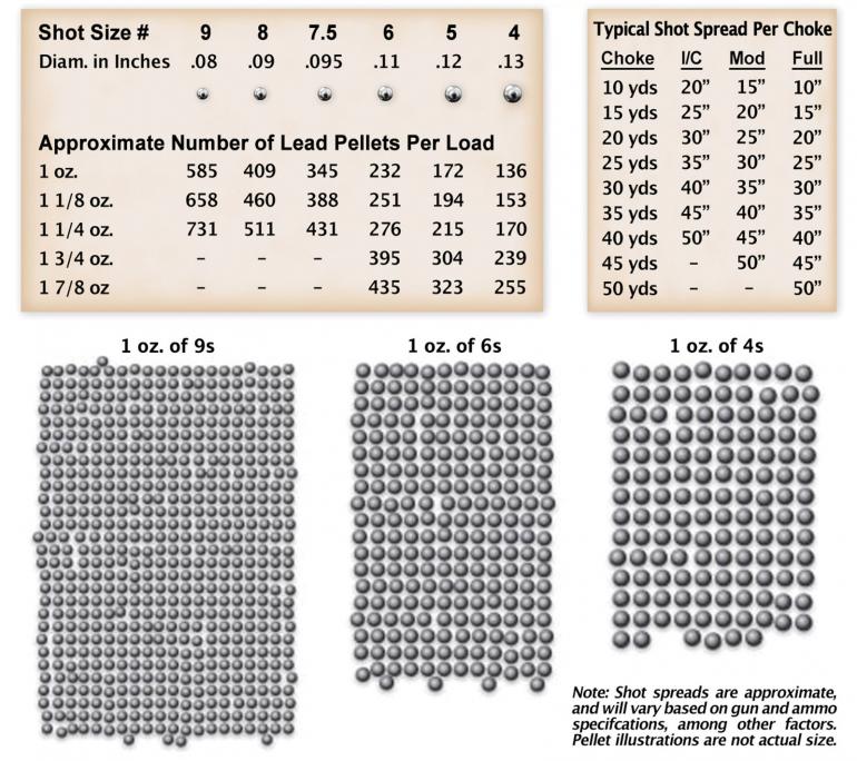 Shotgun pellet size chart