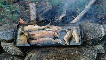 native trout, bozeman trout, Outside Bozeman, catch-and-kill