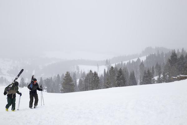 Skiers hiking up the mountain at Bridger Bowl