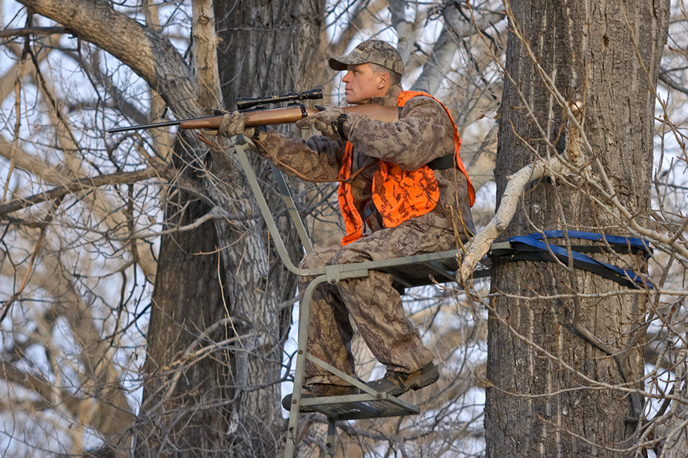 hunting, whitetail, deer stand