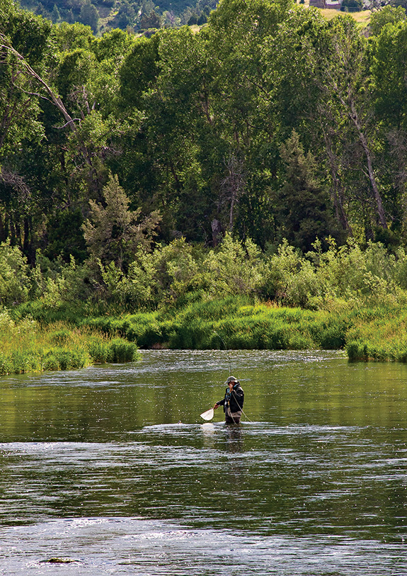 fishing, fly-fishing, depuy spring creek