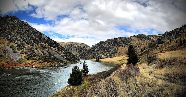 Lower Madison, Madison River, Fly Fishing, Montana