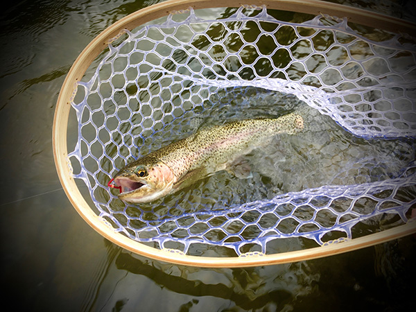 Lower Madison, Madison River, Fly Fishing, Montana