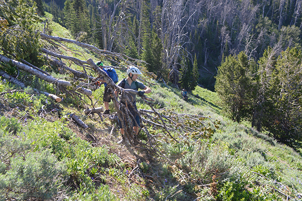 The Lionhead, West Yellowstone, CDT, Mountain Biking