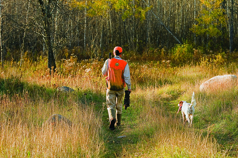 grouse hunting dog outside bozeman