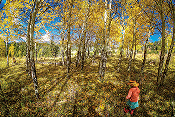fall color, autumn, hiking