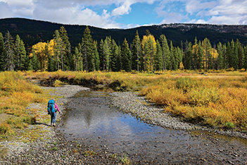 hiking, yellowstone park, autumn