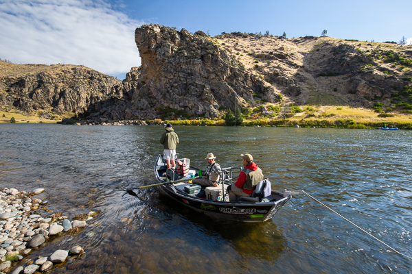 fly fishing, madison river, fishing guide