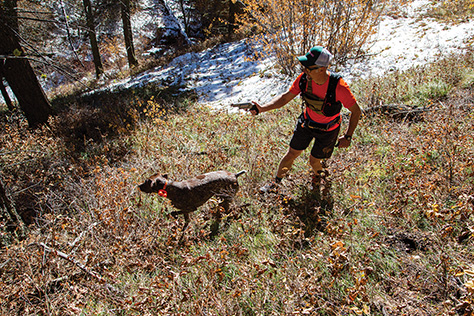 bird hunting, trail running, runting