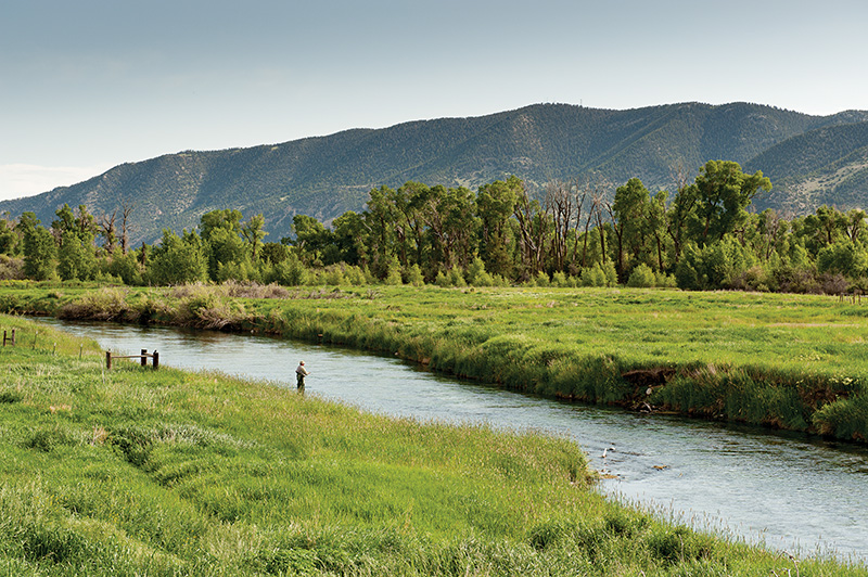 Armstrong Spring Creek Fly Fishing