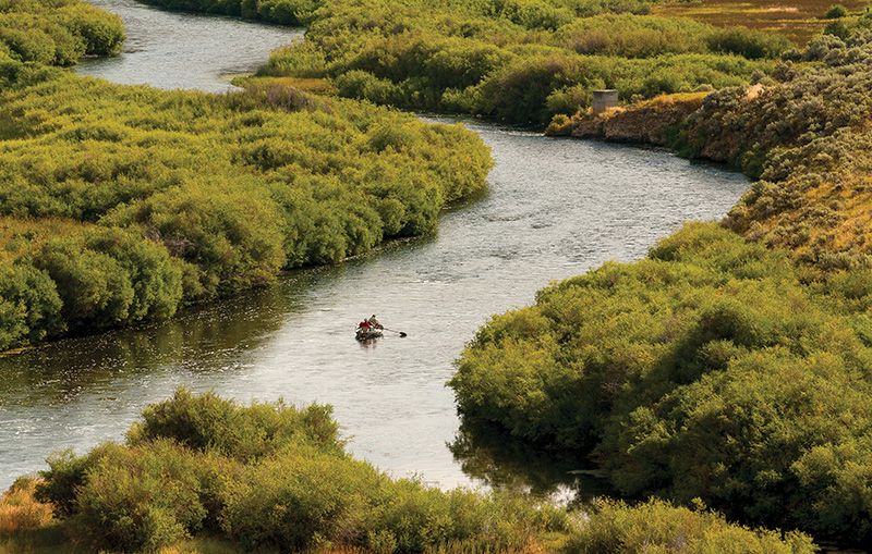 fishing, fly-fishing, missouri river