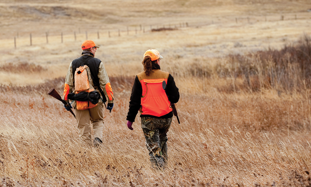 bird hunting, eastern montana, prairie