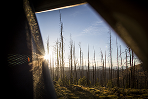 Hatch Adventures, Montana Mountain Biking