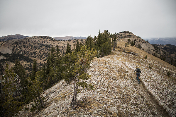 The Lionhead, West Yellowstone, CDT, Mountain Biking