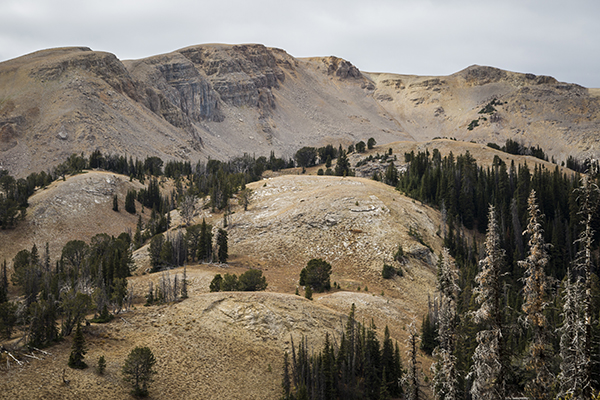 The Lionhead, West Yellowstone, CDT, Mountain Biking