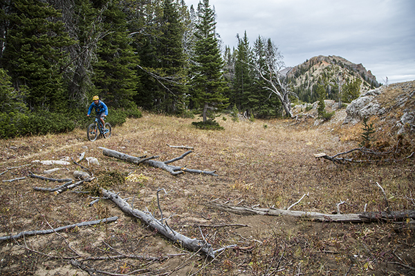 The Lionhead, West Yellowstone, CDT, Mountain Biking