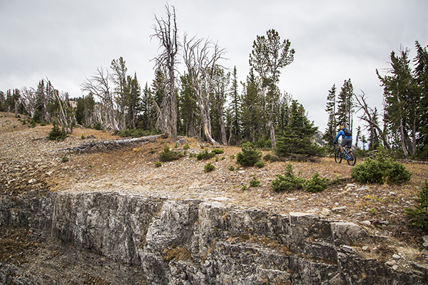 The Lionhead, West Yellowstone, CDT, Mountain Biking