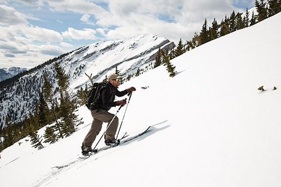skiing, hunting, backcountry skiing, spring