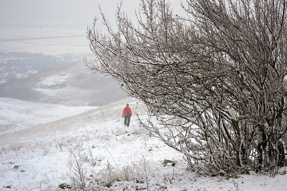 winter, walking, sauntering, offbeat activities