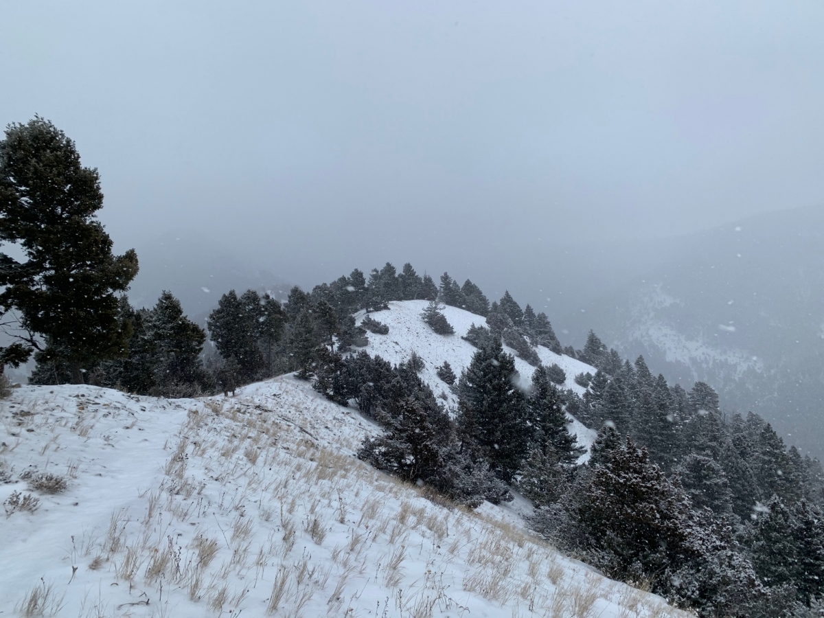 Sypes, hiking, winter, trail of the week