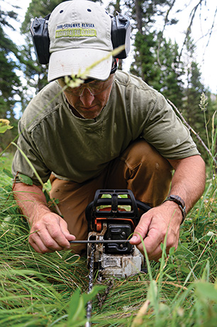 sharpening, chainsaw, cutting trees