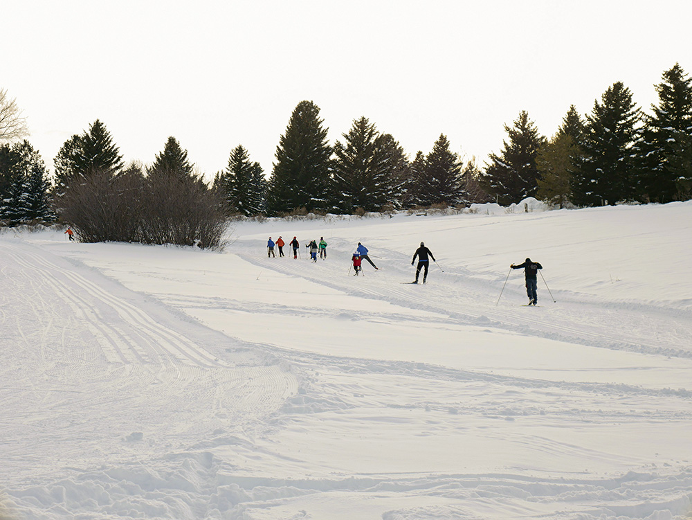 nordic skiing, bsf, grooming