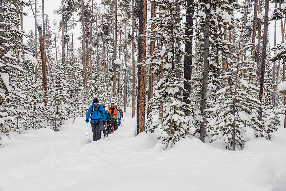 cross country, nordic skiing, backcountry