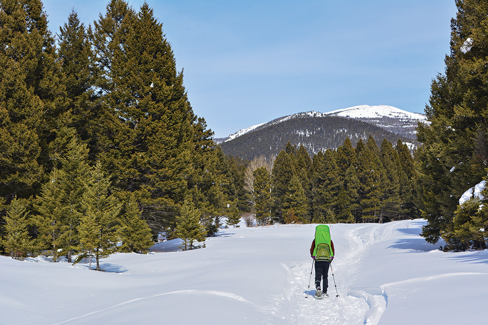 queen gulch, nordic skiing, trails