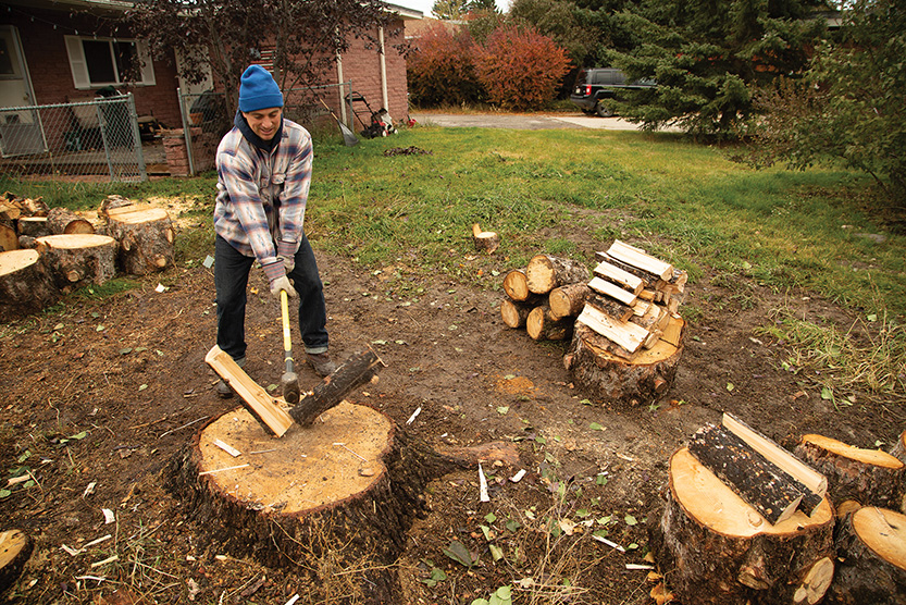 chopping wood, yard work, fitness, exercise