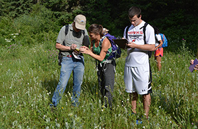 Wilderness Monitoring with GYC
