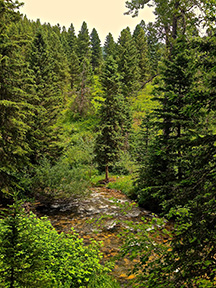 South Cottonwood Creek