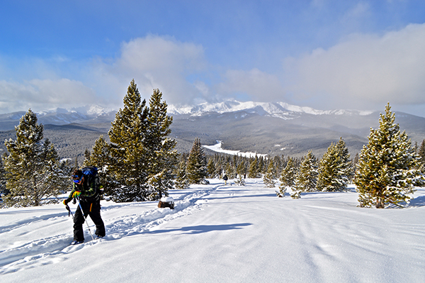 Public-Lands Transfer, Montana