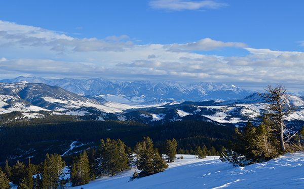 Public-Lands Transfer, Montana