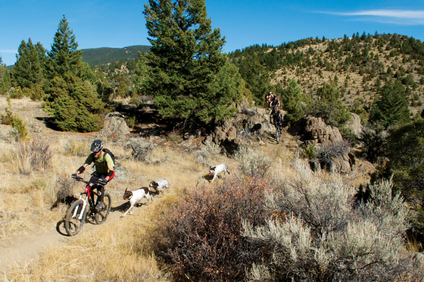 mountain biking pipestone