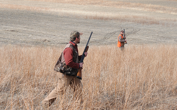 Canyon Ferry Wildlife Management Area, Bird Hunting