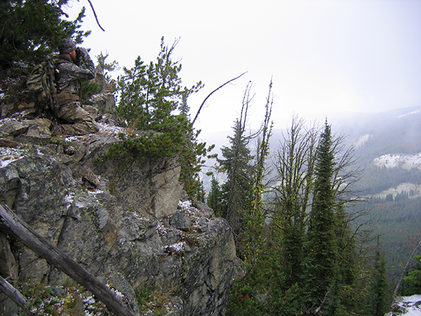 Elk, Hunting, Gallatin Canyon, Bozeman, Montana