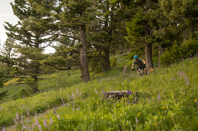 biking outside bozeman stone creek