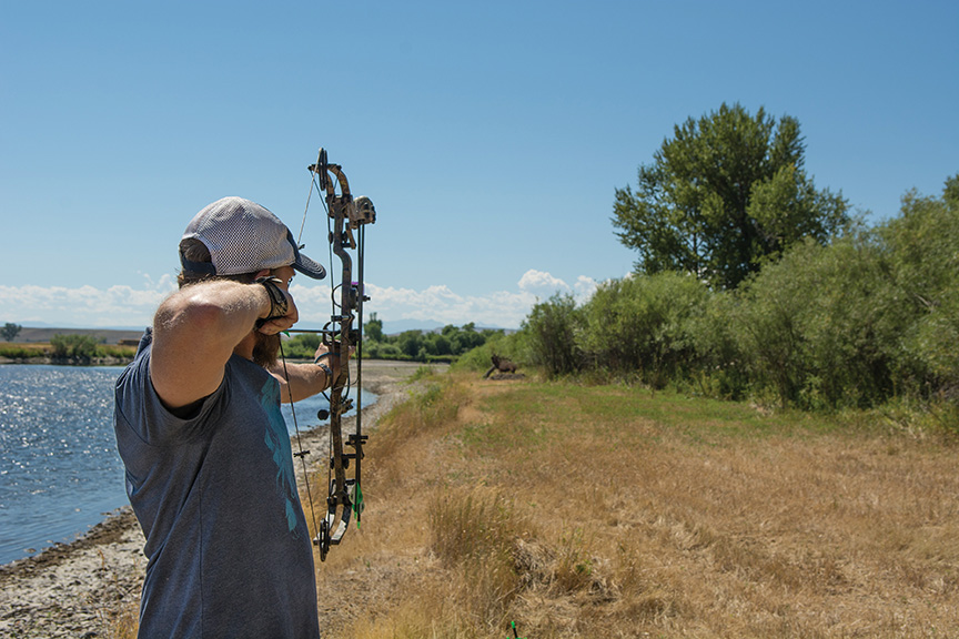 archery, bow hunting, target practice