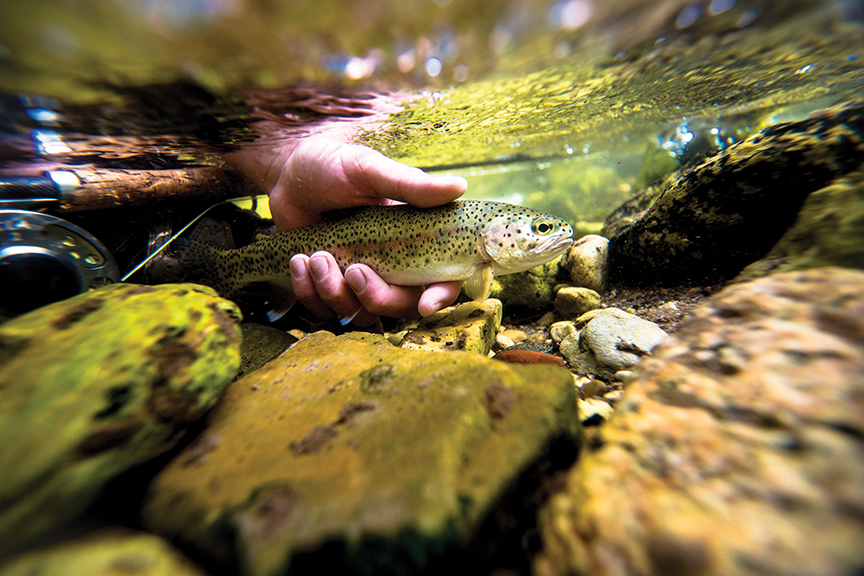 fishing catch and release trout montana bozeman outside