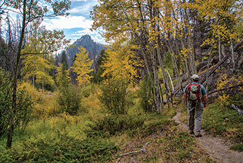 fall color, hiking, yellow, golden, season