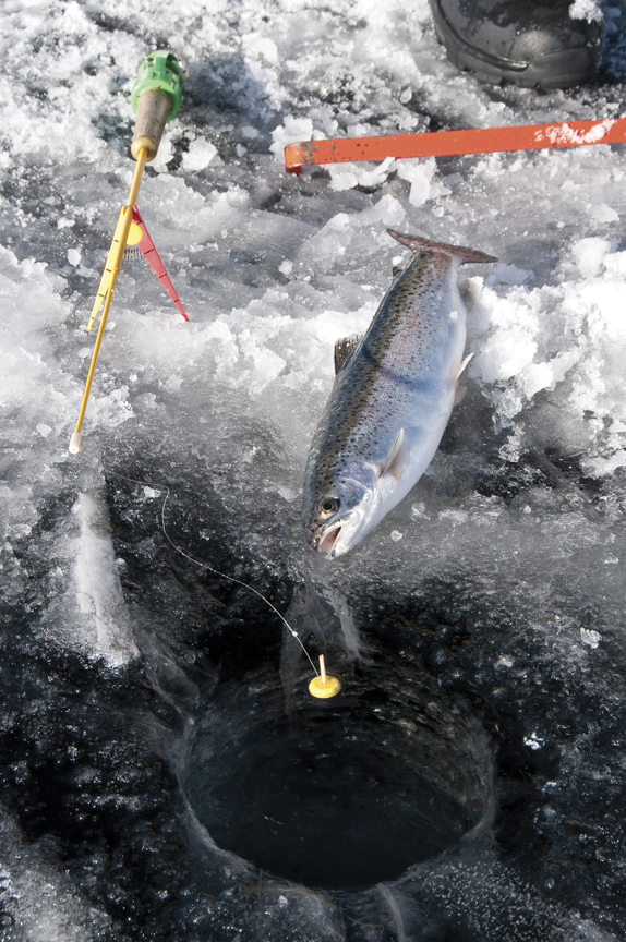 ice fishing hebgen lake montana