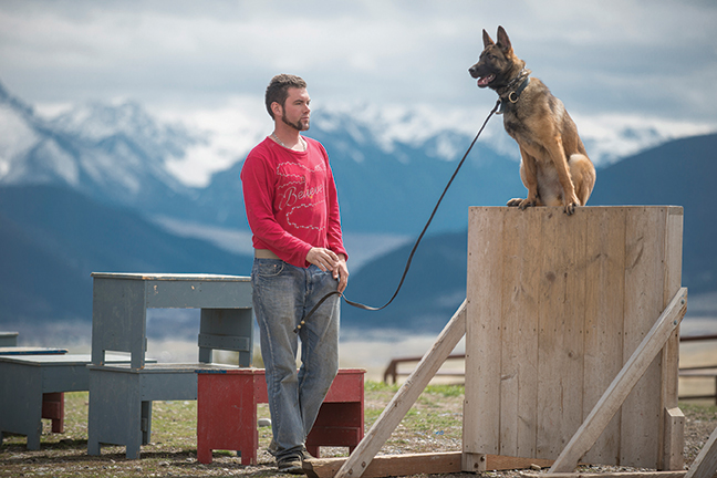 Working Dogs