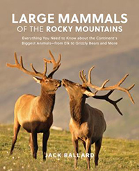 Large Mammals of the Rocky Mountains