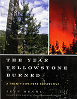 Year Yellowstone Burned